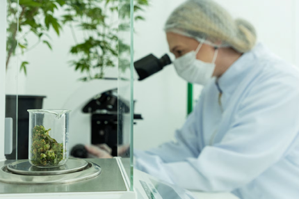 Lab Testing 2