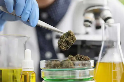 Lab Testing 3