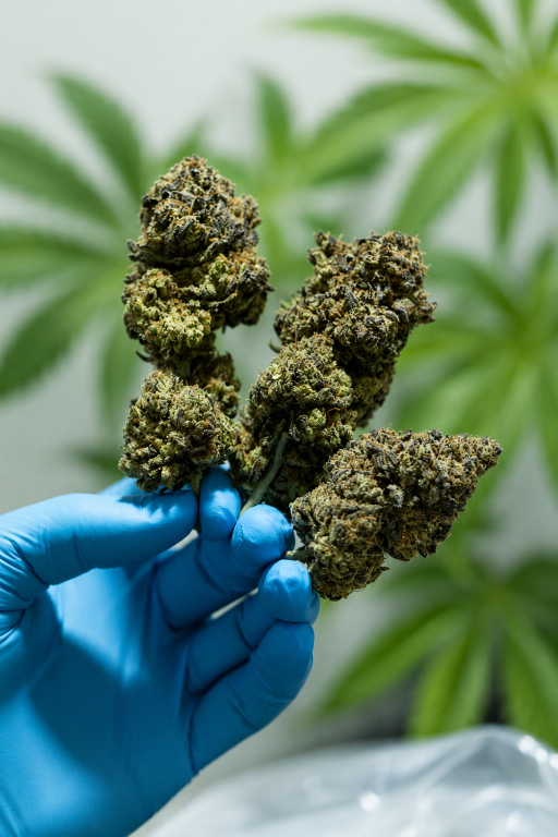 Trusted Cannabis